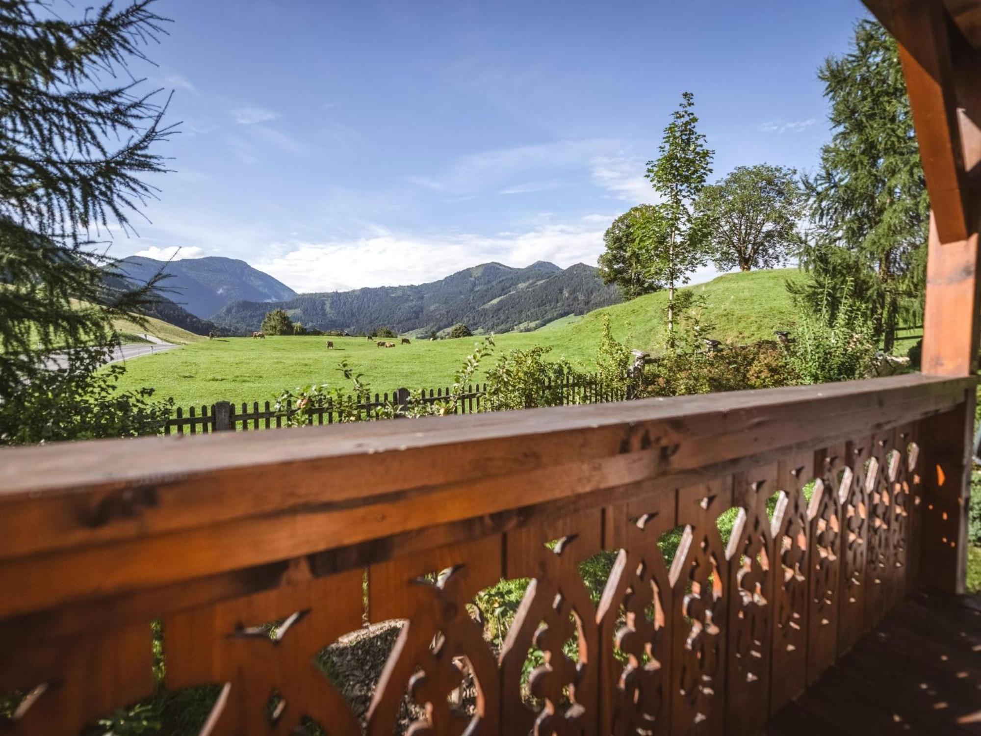Naturpark Chalet Schladming-Dachstein Grosssolk Dış mekan fotoğraf
